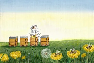 Пчеловод рисунок - 59 фото