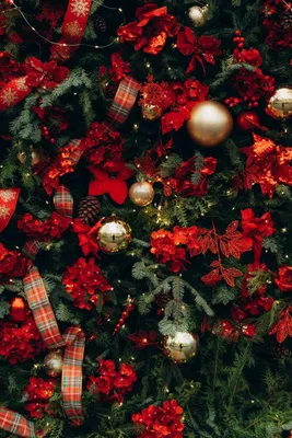 Красивый фон | Merry christmas wallpaper, Christmas wallpaper, Christmas  wallpaper hd