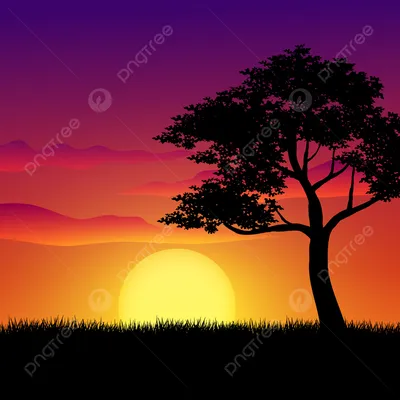 закат природа пейзаж с большим деревом Фон, дерево, трава, декорации фон  картинки и Фото для бесплатной загрузки