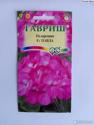 Семена Пеларгония Гавриш Павла - «Обычный симпатичный цветок» | отзывы