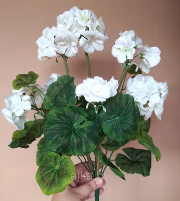 Пеларгония крупная белая, искусственное растение