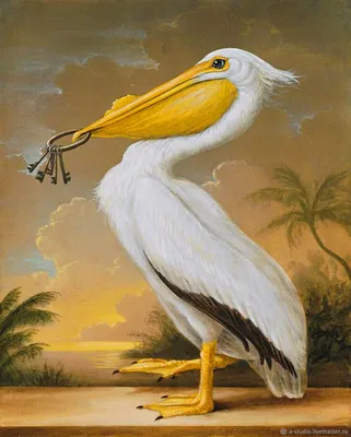 Dalmatian pelican (Pelecanus crispus) | DinoAnimals.com