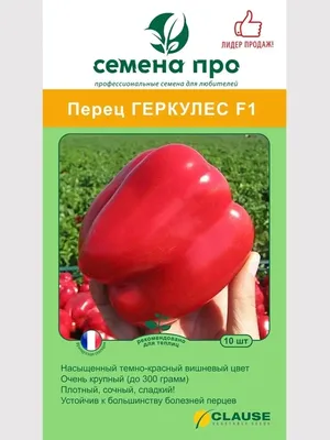 Семена перца Фламинго FLAMINGO F 5г (ID#16163425), цена: 1576.75 ₴, купить  на Prom.ua