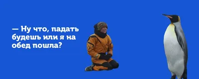 Картинки на тему #професия - в Шедевруме