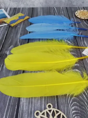 Перья Утки Veniard Mallard Duck Wing Quills with Blue White Tips - купить с  доставкой по России в интернет-магазине Рыбаклев