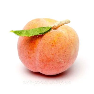 Купить Искусственный фрукт муляж персика, цена 160 грн — Prom.ua  (ID#62382890)