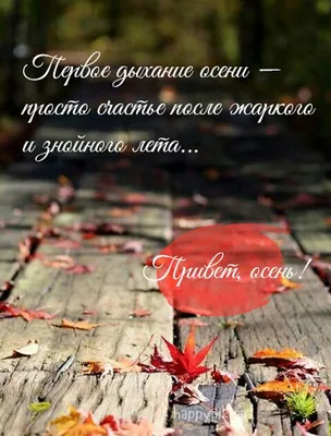 С первым днём осени. Привет, осень. 60 уютных картинок! | Осень, Счастливые  картинки, Осенние картинки