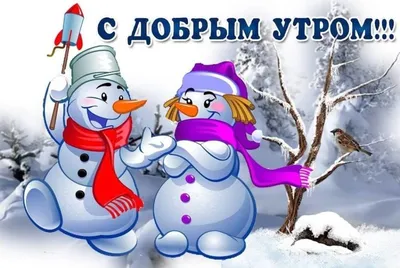 С морозным утром января картинки прикольные (38 фото) » Красивые картинки,  поздравления и пожелания - Lubok.club