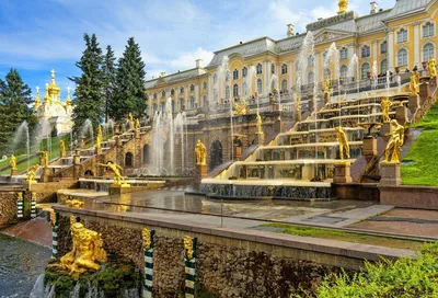 Государственный музей-заповедник Петергоф: история и фото парков, дворцов и  музеев