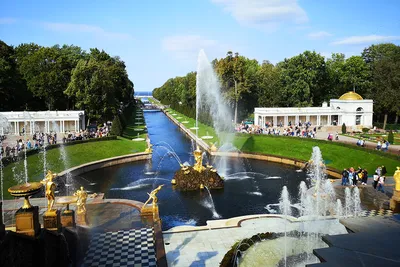 Фотографии Петергофа: фонтаны и парки