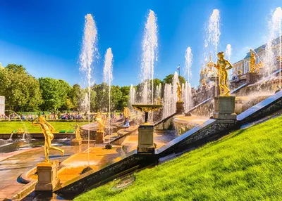 Экскурсии в Петергоф с посещением Большого дворца и фонтанов: 🗓  расписание, ₽ цены, купить 🎟 билеты онлайн