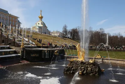 Окно в Петербург. В Калининграде появится свой «Петергоф» — РБК