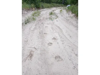 Видео — Работники парка \"Днестровский каньон\" спасли лису от браконьерской  проволочной петли — Страница видео