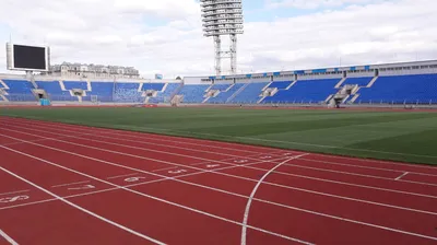 Питерское «Динамо» займет стадион «Петровский» после переезда «Зенита» |  ReadFootball