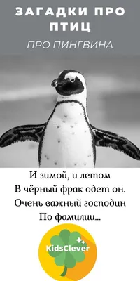 Пингвинёнок Пинг (литература для детей) Юрий Пастухов | Николай Лакутин и  компания. Читаем онлайн. Дзен рассказы | Дзен