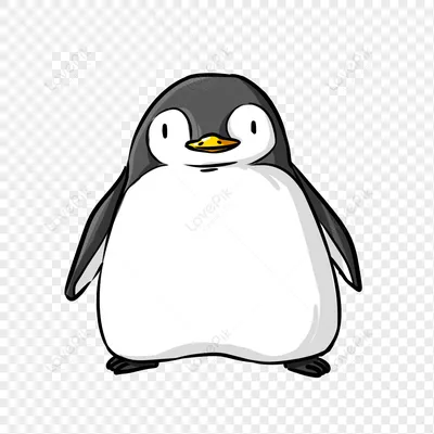 пингвин изображение_Фото номер 401331244_PSD Формат  изображения_ru.lovepik.com
