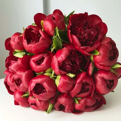 19 красных пионов в букете | Бесплатная доставка цветов по Москве