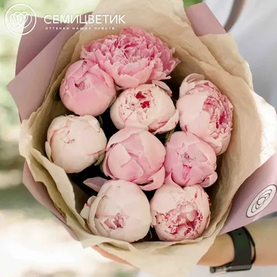 9 розовых пионов Premium купить в СПб в интернет-магазине Семицветик✿