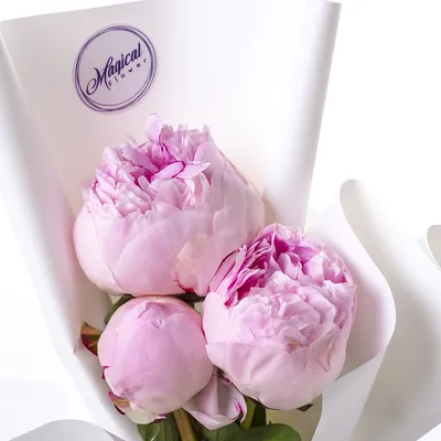 Букет из 3 розовых пионов - купить в Москве по цене 2790 р - Magic Flower