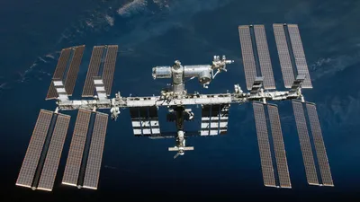 Космонавты РФ приготовили селёдку под шубой на МКС