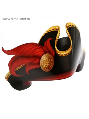 Пиратская шляпа: цена 60 грн - купить Этническая одежда и карнавальные  костюмы на ИЗИ | Харьков