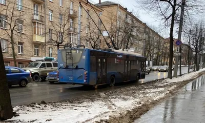Власти Петрозаводска хотят попросить у Питера невостребованные троллейбусы  | Новости Петрозаводска - БезФормата