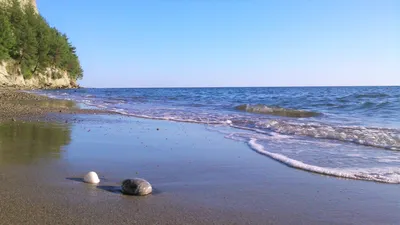 Песчаный пляж Пицунда - Абхазия, гостевой дом у моря, частный сектор.