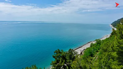 Море Абхазия Пицунда - фото и картинки: 62 штук
