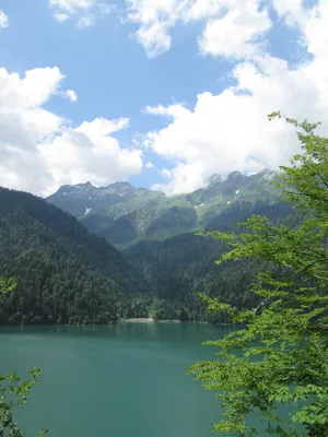 Озеро Пицунда Абхазия - фото и картинки: 61 штук