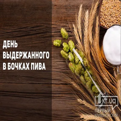 День выдержанного в бочках пива отмечают сегодня: ТОП-5 интересных фактов о  пиве | Первый Криворожский - 1kr.ua