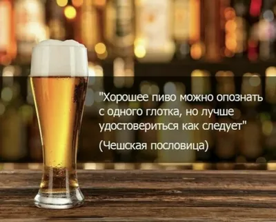 Прикольные картинки про пиво — холодненькое и ароматное)