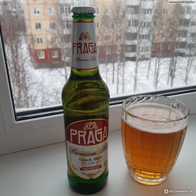 Пиво Praga Premium Pils - «Бутылочное пиво из Чехии» | отзывы