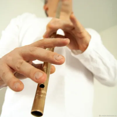 Флейты: Камыль латунный в Ля – купить на Ярмарке Мастеров – PKZZIRU |  Флейты, Новороссийск