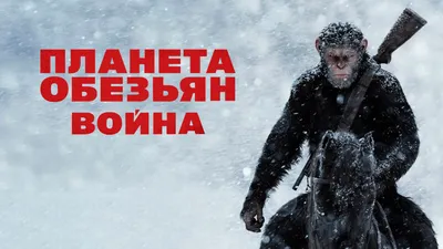 Появился новый трейлер фильма \"Планета обезьян: Война\"