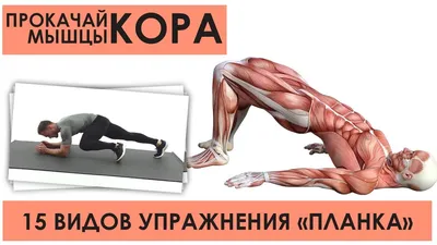 Что случится, если делать планку 30 дней, противопоказания и как правильно  ее выполнять