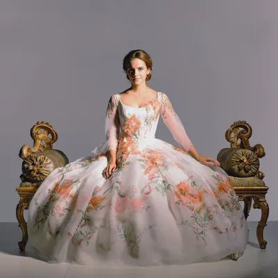 Princess Princess|princess Belle Off-shoulder Organza Ball Gown With  Appliques - Evening Dress