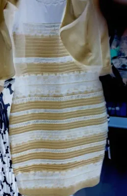 Синее платье или белое с золотым (81 фото)