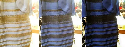 Синие или белое платье: как учёные объясняют феномен знаменитой фотографии  - Русская семерка