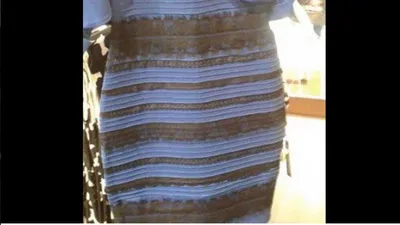 Какого цвета платье? Синее с черным или белое с золотым — Курьезы
