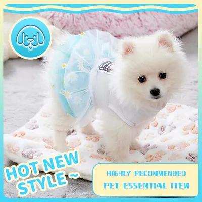 Платье для собак/Платье для собак мелких пород - купить с доставкой по  выгодным ценам в интернет-магазине OZON (769188961)