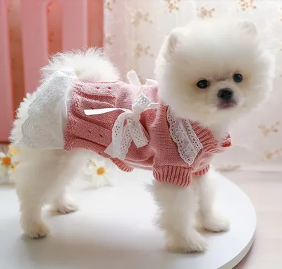 Платье для собак сиреневое — Nothing but love: Pets, акция действует до 16  января 2024 года | LeBoutique — Коллекция брендовых вещей от Nothing but  love: Pets — 6281913
