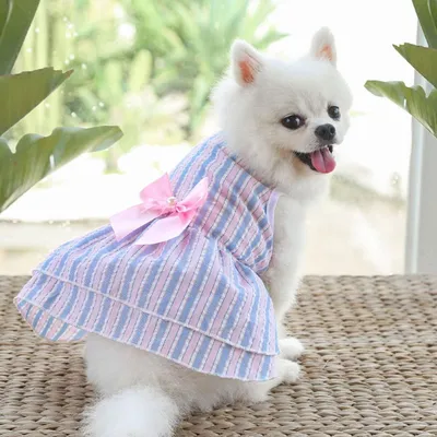 Платье для собак и кошек Зоозавр купить по цене 399 ₽ с доставкой в Москве  и России, отзывы, фото