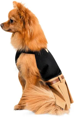 Красивая одежда для собак. Пушистые тренды для любой породы. Вяжем на  спицах, Екатерина Епик – скачать pdf на ЛитРес