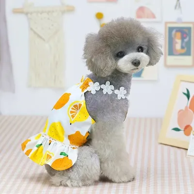 Одежда для собак от Натали Платье для собаки