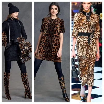 Леопардовый принт снова в моде