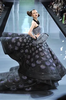 Fashion Show: Вечерние платья из коллекции Christian Dior Haute Couture  Fall 2008 | Платья, Вечерние платья, Мода dior