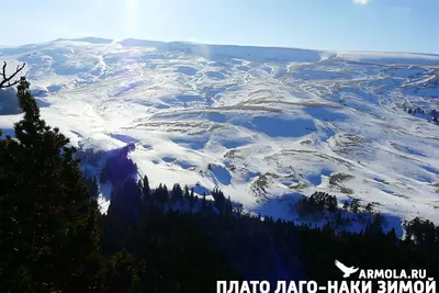 Смотровая на плато Лаго-Наки со скалы Утюг - фото, карта