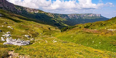 Плато Лаго-Наки в Адыгее: фото, цены, история, отзывы, как добраться