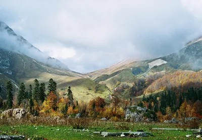 Горное плато Лаго-Наки: путешествие из Краснодара 🧭 цена экскурсии 14500  руб., 7 отзывов, расписание экскурсий в Краснодаре