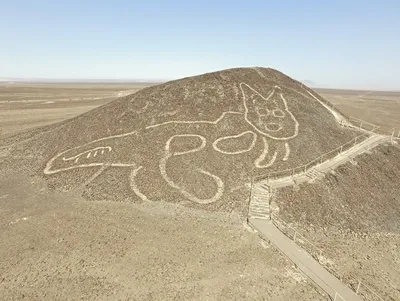 Необычный геоглиф: громадная кошка на плато Наска